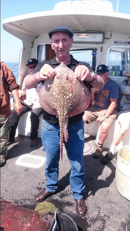 5 lb Thornback Ray by Bob Marshall