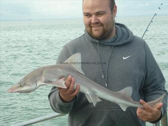 6 lb Smooth-hound by ian bridges