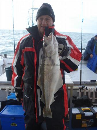 8 lb Pollock by Panto