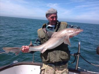 24 lb 5 oz Starry Smooth-hound by Tom