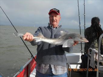 5 lb 5 oz Starry Smooth-hound by Chris Merrison
