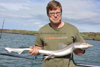 6 lb Starry Smooth-hound by Simon