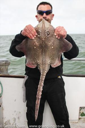 6 lb Thornback Ray by Wingnut