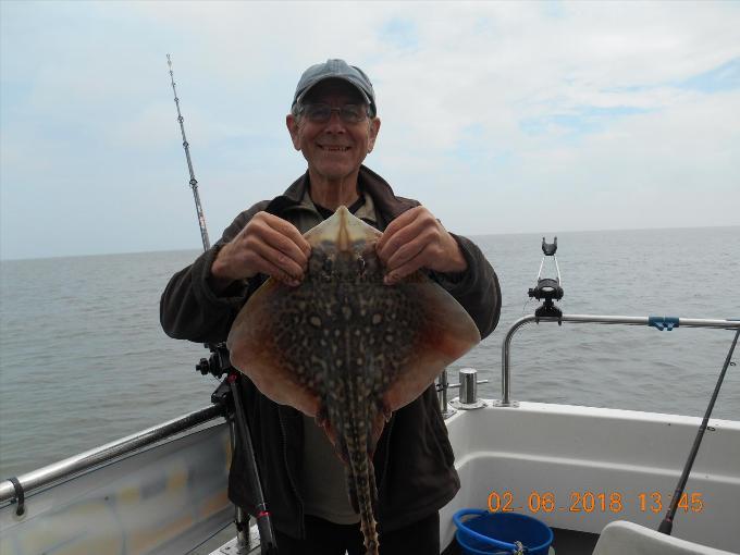 4 lb Thornback Ray by David ried