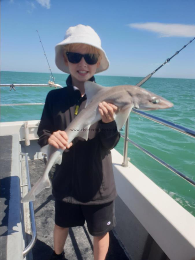 5 lb 8 oz Starry Smooth-hound by Bob Marshall