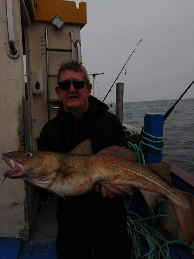 11 lb Cod by Unknown