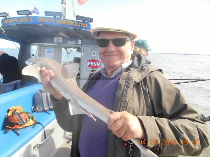 4 lb Starry Smooth-hound by Bob