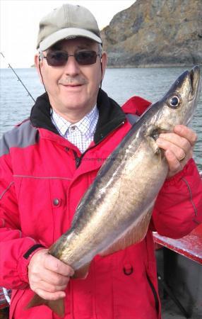 6 lb 8 oz Pollock by peter henk