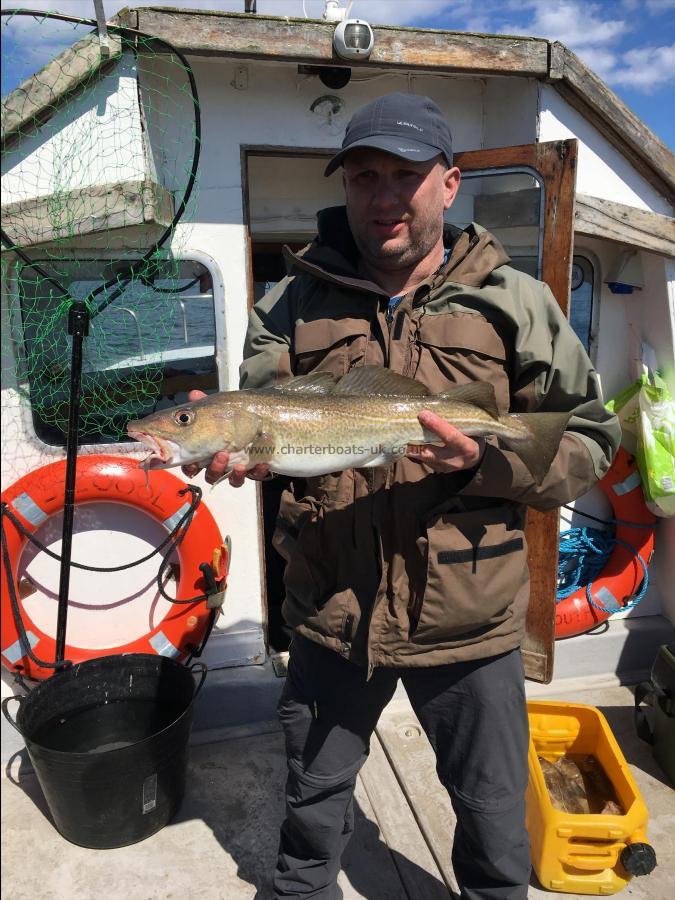 6 lb Cod by Unknown