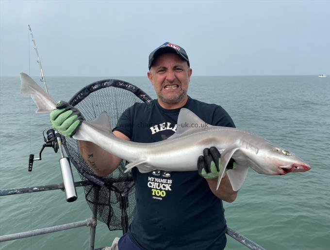 8 lb Smooth-hound by Unknown