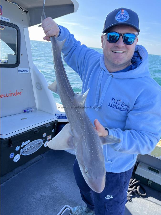 6 lb Smooth-hound by The Skipper