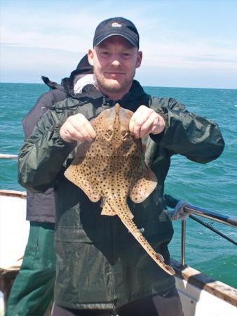 2 lb Spotted Ray by Carl the Blue