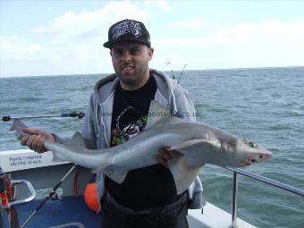 15 lb Smooth-hound (Common) by james