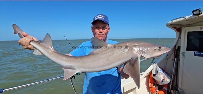 18 lb 8 oz Starry Smooth-hound by Alan