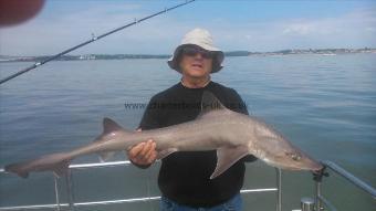 13 lb Starry Smooth-hound by alan