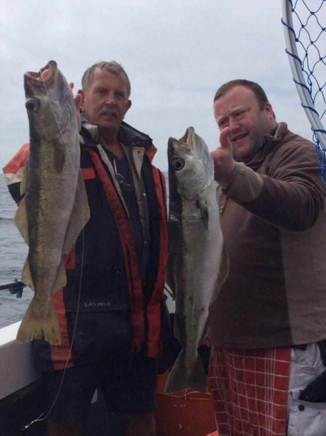 12 lb Pollock by paul from bradford