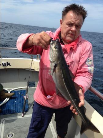 5 lb 2 oz Coalfish (Coley/Saithe) by Colin Thomas