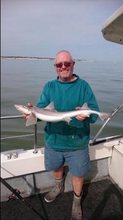 5 lb Starry Smooth-hound by Bob Marshall