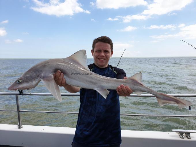 7 lb 12 oz Starry Smooth-hound by Bob Marshall