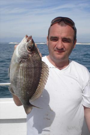 2 lb 8 oz Black Sea Bream by phil