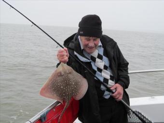 3 lb 5 oz Thornback Ray by Andy