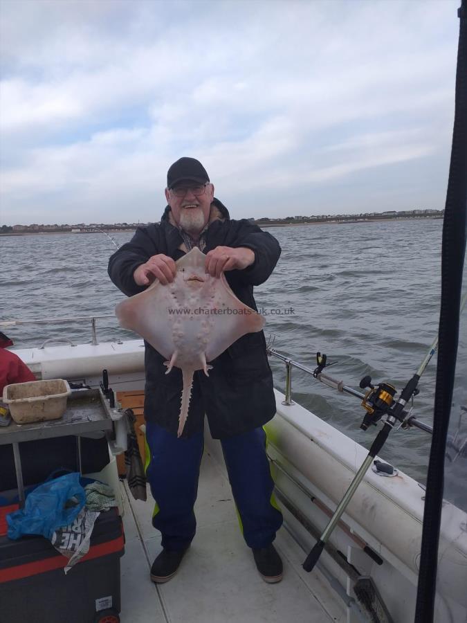 6 lb Thornback Ray by Big Ian