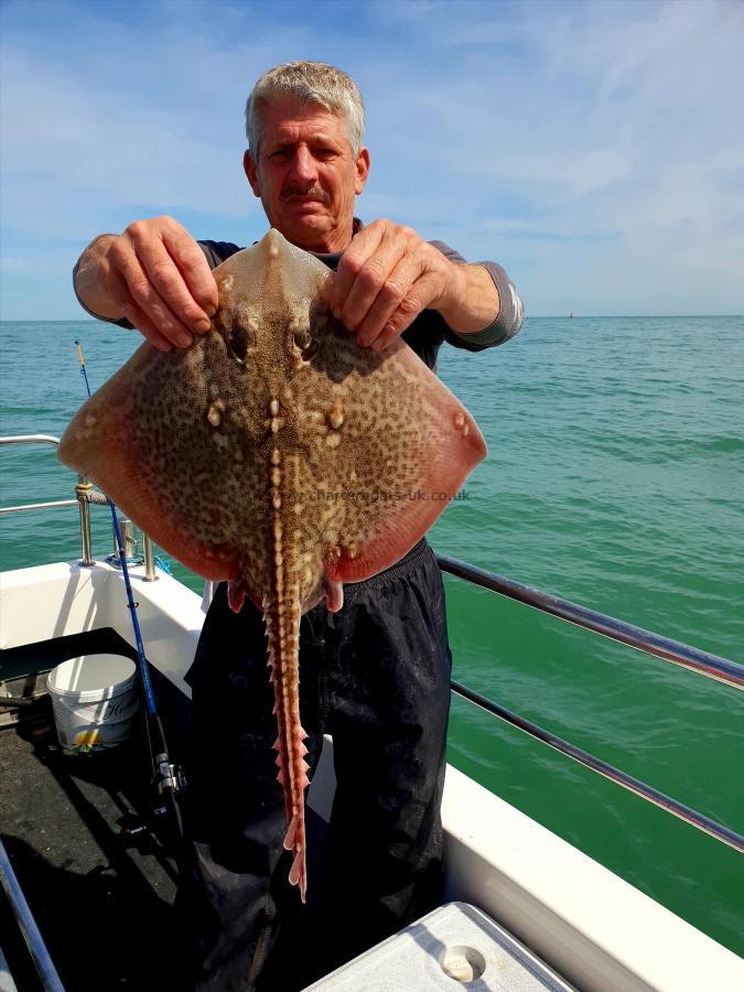 5 lb 8 oz Thornback Ray by Bob Marshall