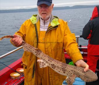 10 lb 8 oz Bull Huss by stewart walker