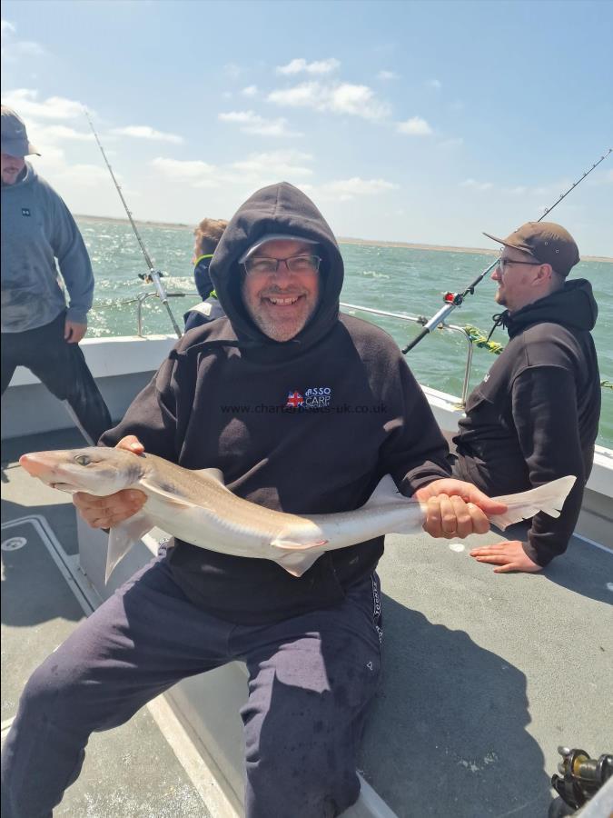 7 lb Starry Smooth-hound by Unknown