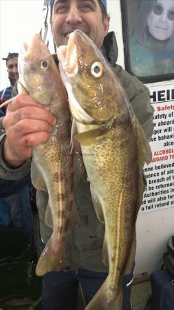 8 lb Cod by abdul from manchester cod caught 17th aug