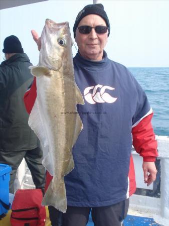 8 lb 8 oz Pollock by Peter