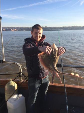 5 lb Thornback Ray by Paul