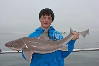 14 lb Starry Smooth-hound by Gethin