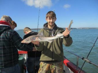 5 lb Starry Smooth-hound by Unknown