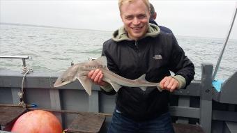 3 lb Smooth-hound by Gary party