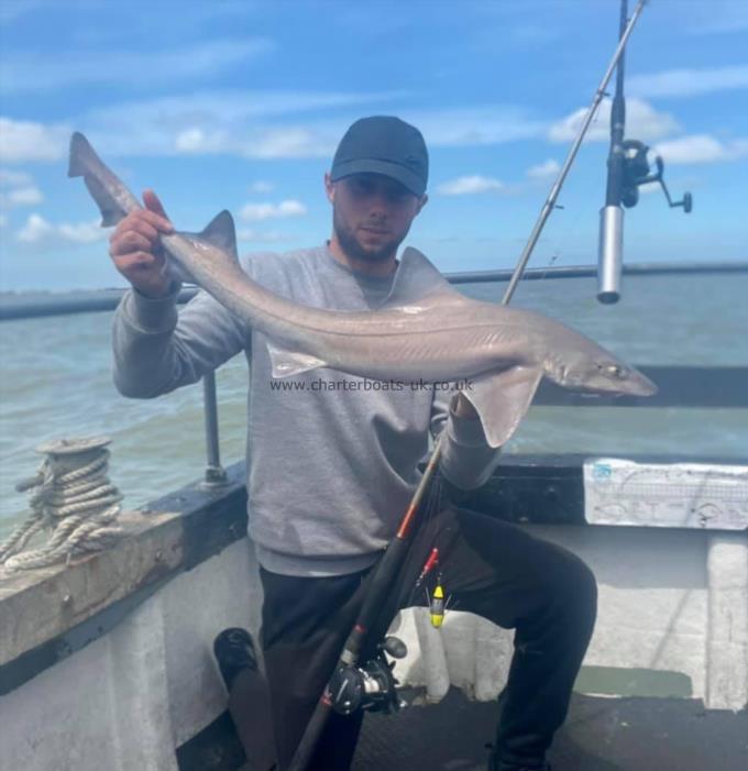9 lb Smooth-hound by Unknown