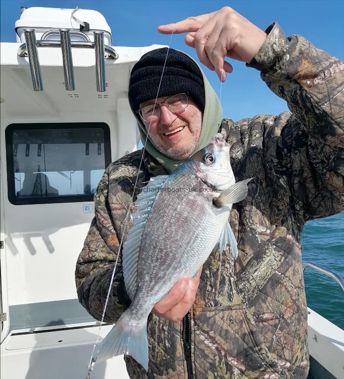 Alan's 1 lb 8 oz Black Sea Bream