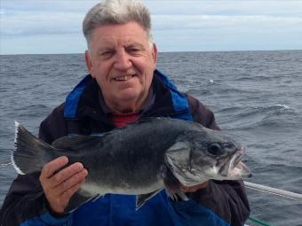 6 lb Wreckfish (Stone Bass) by Pat Cawley