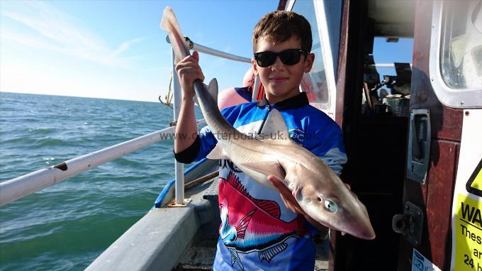 5 lb 7 oz Starry Smooth-hound by Unknown