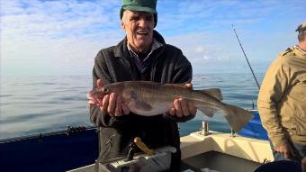 4 lb Cod by Stephen Wake