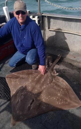 118 lb Common Skate by iain brabbs