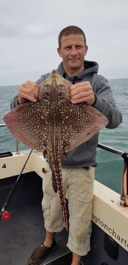 8 lb Thornback Ray by Unknown