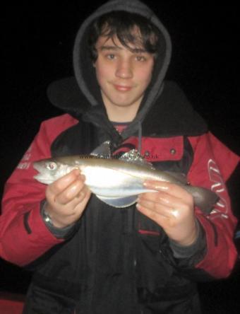 1 lb Whiting by Young Mr Cottell