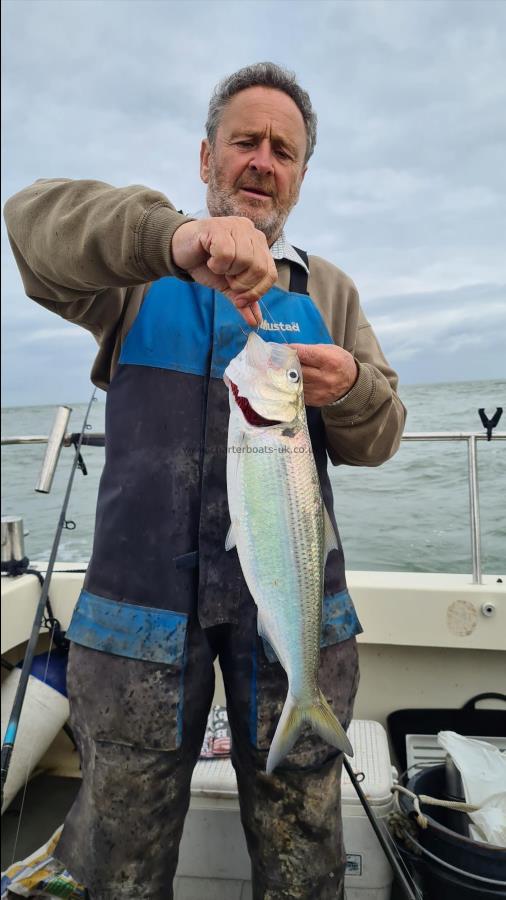 2 lb 3 oz Twaite Shad by Mick toomer