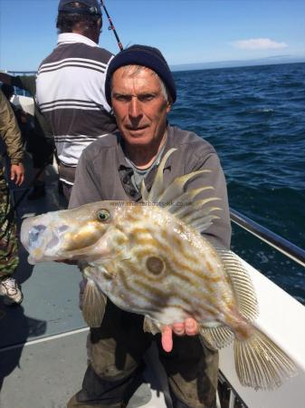 4 lb John Dory by Chris Reeks