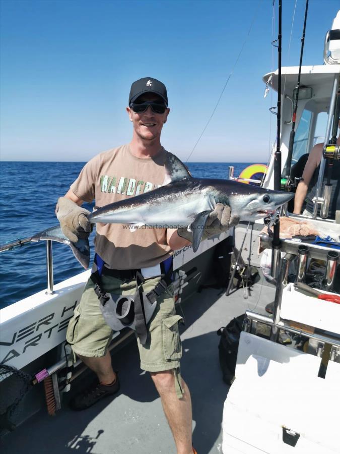 15 lb Porbeagle by Unknown