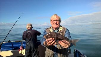 2 lb Black Sea Bream by Stephen Wake