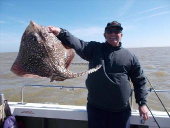 15 lb 2 oz Thornback Ray by Kens thornback ray