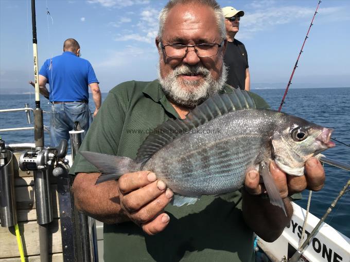 2 lb Black Sea Bream by Colin