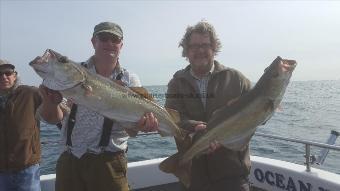 14 lb Pollock by colin